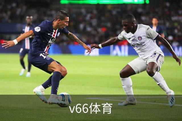 v66体育公司简介图片